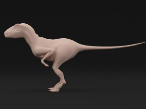 dinosaur velociraptor base mesh 3D Model