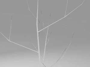 vase 3D Model