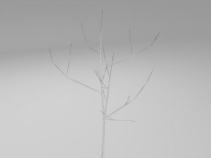 vase Modello 3D