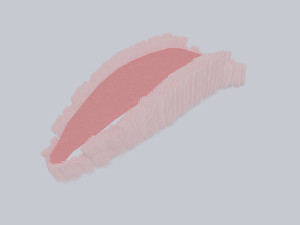 whale 3D-Modell