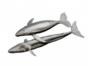 whale print 3d 3D Baskı Modeli