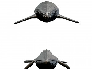 whale print 3d 3D Baskı Modeli