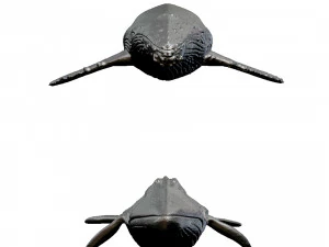 whale print 3d 3D Print Model