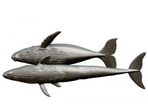whale print 3d 3D Baskı Modeli