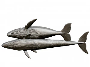 whale print 3d 3D Print Model