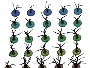25 tree print 3D Print Model