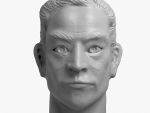 testa 1 Modello di stampa 3D