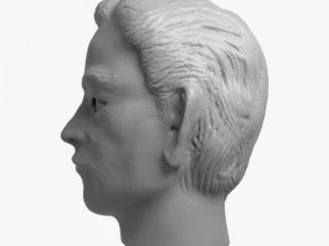 head 1 3D Print Model