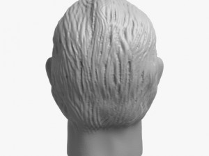 head 1 Modello di stampa 3D