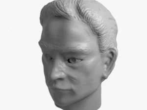 head 1 3D Print Model