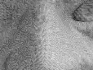 head 1 Modello di stampa 3D