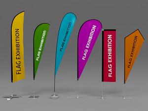 6 flag exhibition 3D Model