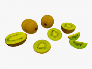 kiwi fruit 1 3D Model