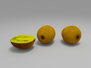 kiwi fruit 1 Model 3D