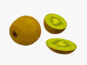 kiwi fruit 2 3D Model
