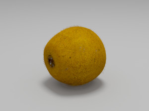 kiwi fruit 2 3D 模型