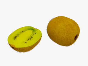 kiwi fruit 3 3D Model
