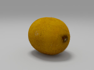 kiwi fruit 3 Model 3D