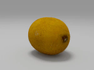 kiwi fruit 3 3D Model