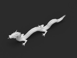 dragon 3D 模型