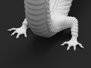 dragon 3D 模型