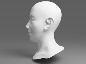 head 01 3D Model