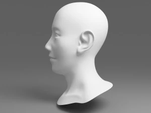 kepala 01 Model 3D