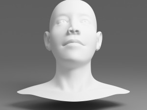head 01 3D Model