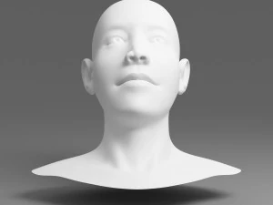 kepala 01 Model 3D