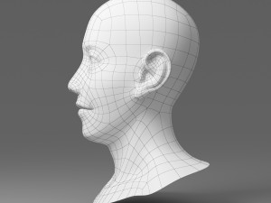 head 01 3D Model