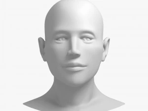 head 02 3D Model