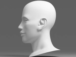 head 02 3D Model