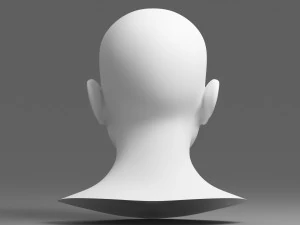 head 02 3D Model