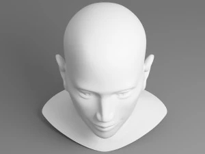 head 02 3D Model