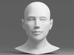 head 02 3D Model