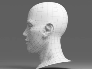 head 02 3D Model