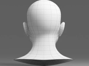 head 02 3D Model