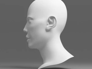 head 03 3D Model