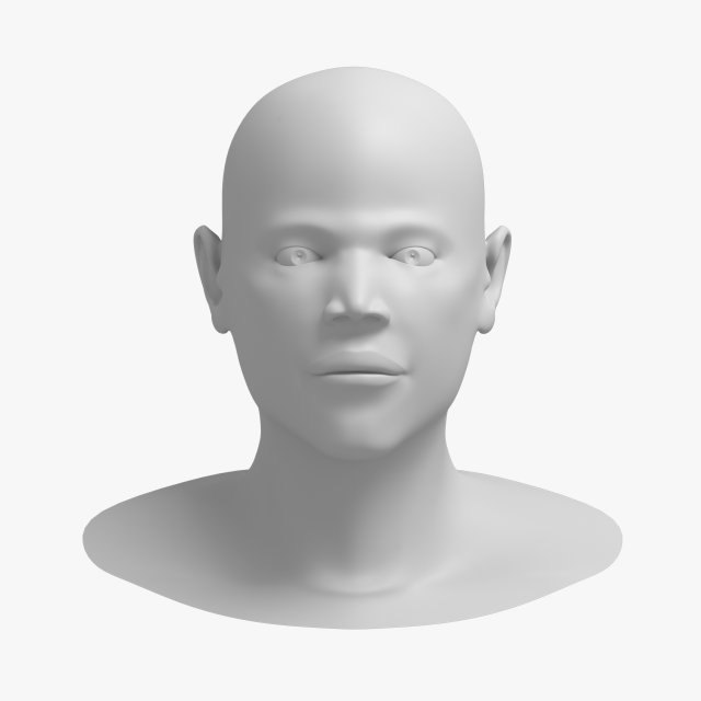 head 04 Model 3D .c4d .max .obj .3ds .fbx .stl .blend 