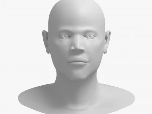 头 04 3D 模型
