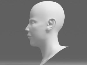 head 04 Model 3D