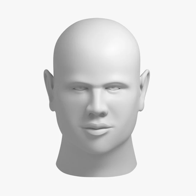 head 05 3D Model .c4d .max .obj .3ds .fbx .stl .blend