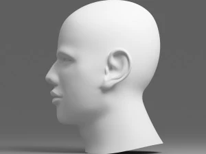 head 05 3D Model
