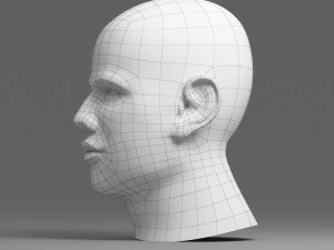 head 05 3D Model