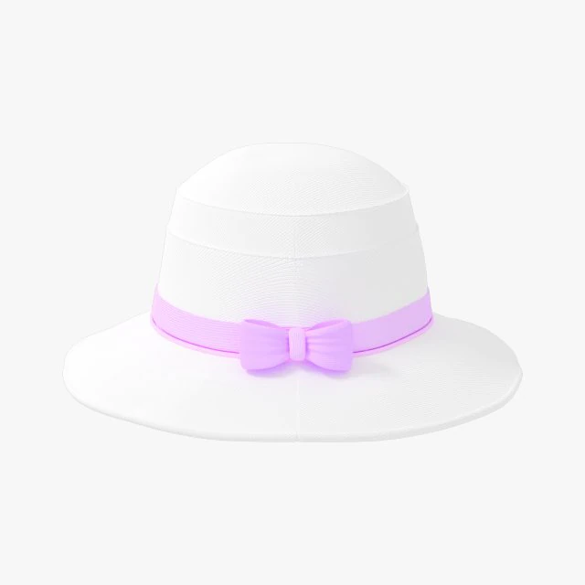 Hat cloths 3D Model .c4d .max .obj .3ds .fbx .stl .blend 