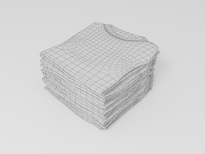 Cloths Model 3D