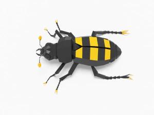 Bug low poly 3D Model