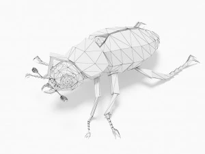 Bug low poly 3D Model