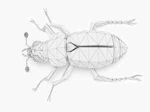 Bug low poly 3D Model