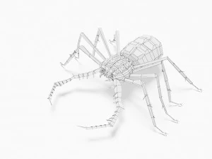 错误低聚 3D 模型